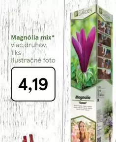 Mix - Magnólia mix