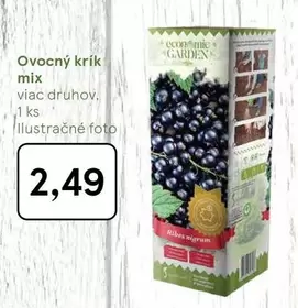 Mix - Ovocný krík mix