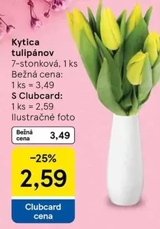 kytica tulipánov