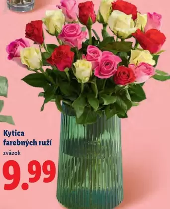 Kytica farebných ruží