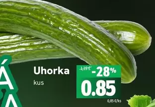 Uhorka