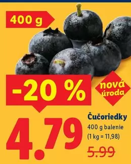 Nova - Čučoriedky