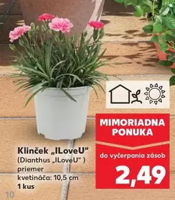 Klinček "iLoveU"