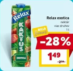 Relax exotíca kaktus