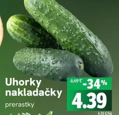 Uhorky nakladacky