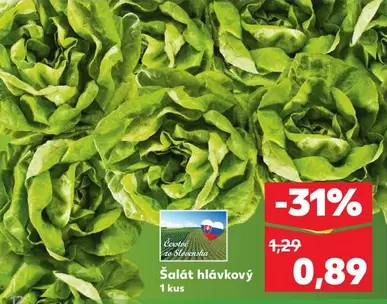 Šalát hlávkový