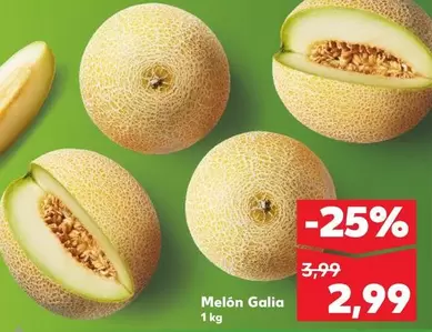 Melón Galia