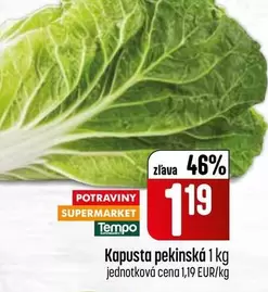 Kapusta pekinská