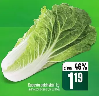 Kapusta pekinská