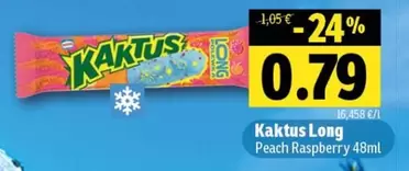 Kaktus Long