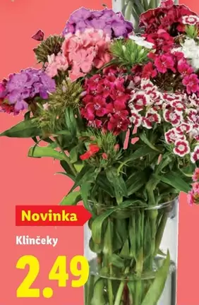 Klínčeky