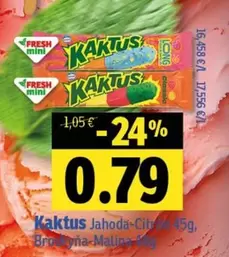 Kaktus