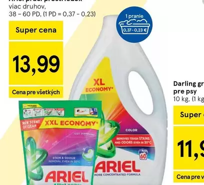 Ariel - XL ECONOMY