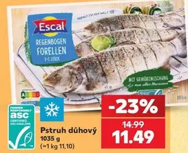 Pstruh duhový