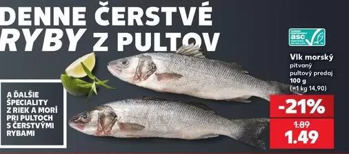Vlk morský