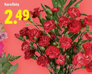 Karafiáty