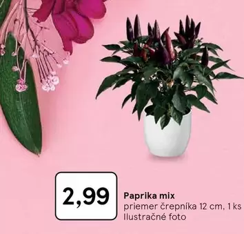 Mix - Paprika mix