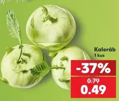 Kaleráb