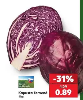 Kapusta červená