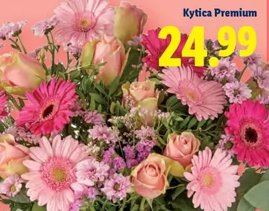 Kytica Premium