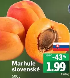 Marhule slovenské