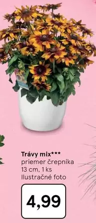 Mix - Trávy mix