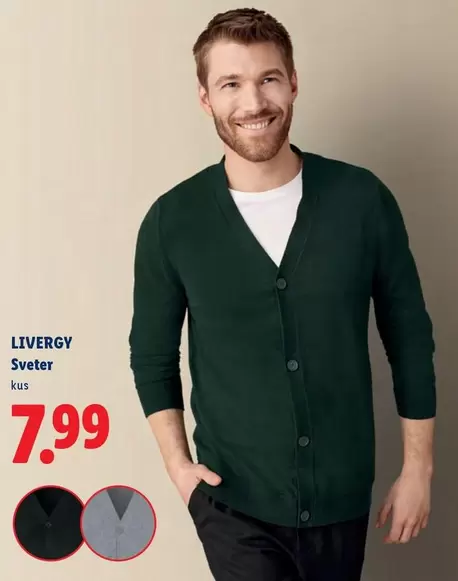 Svetr