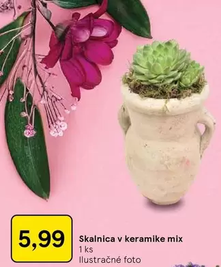 Mix - Skalnica v keramike mix