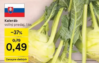 Kaleráb