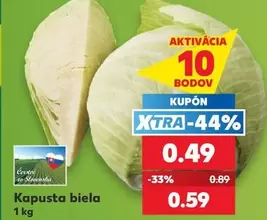Kapusta biela