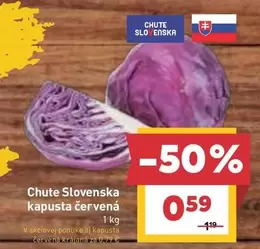 Chute Slovenska kapusta červená