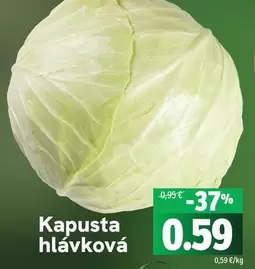 Kapusta hlávková