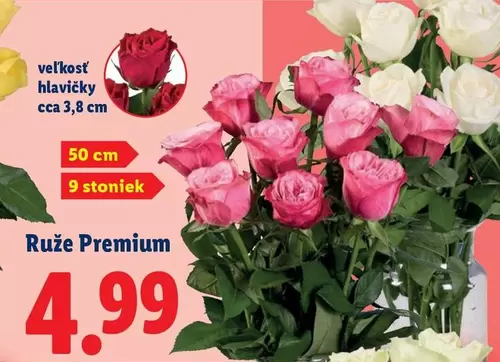 Ruže Premium