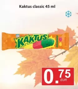 Kaktus classic