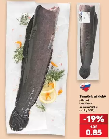 Sumček africký pitvaný bez hlavy