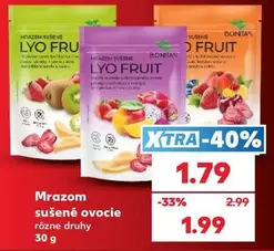 Mrazom sušené ovocie