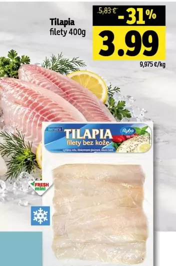 Tilapia filety