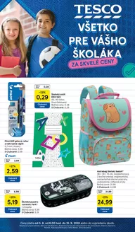 Katalóg Tesco | Najlepšie ponuky pre všetkých zákazníkov | 2026-08-03T00:00:00.000Z - 2026-09-13T00:00:00.000Z