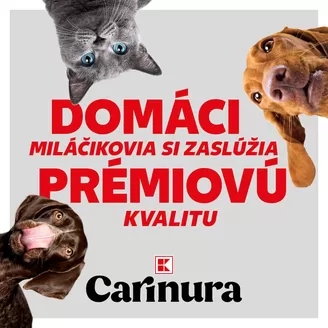 Katalóg Kaufland v Michalovce | Naše najlepšie výhodné ponuky | 2026-09-13T00:00:00.000Z - 2026-09-27T00:00:00.000Z