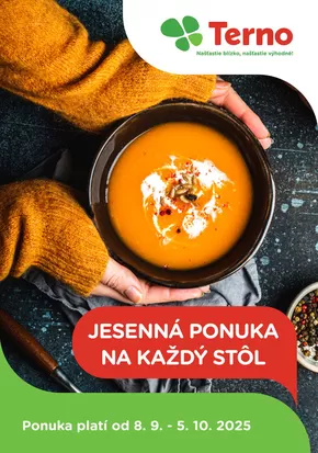 Katalóg TERNO v Košice | Aktuálne špeciálne akcie | 2025-09-08T00:00:00.000Z - 2025-10-05T00:00:00.000Z