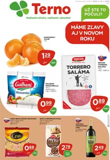 Katalóg TERNO v Moldava nad Bodvou | Aktuálne špeciálne akcie | 2026-01-08T00:00:00.000Z - 2026-01-14T00:00:00.000Z