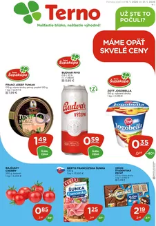 Katalóg TERNO v Prešov | Veľký výber ponúk | 2026-01-15T00:00:00.000Z - 2026-01-21T00:00:00.000Z