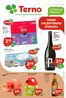 Katalóg TERNO | Skvelé zľavy na vybrané produkty | 2026-02-12T00:00:00.000Z - 2026-02-18T00:00:00.000Z