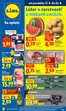 Katalóg Lidl | Platný od 17. 08. 2026 | 2026-08-17T00:00:00.000Z - 2026-08-23T00:00:00.000Z