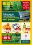 Katalóg Billa | Leták BILLA Bratislava Račianska | 2026-09-16T00:00:00.000Z - 2026-09-22T00:00:00.000Z