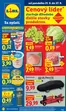 Katalóg Lidl v Šamorín | Platný od 21. 09. 2026 | 2026-09-21T00:00:00.000Z - 2026-09-27T00:00:00.000Z