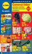 Katalóg Lidl | Platný od 19. 10. 2026 | 2026-10-19T00:00:00.000Z - 2026-10-25T00:00:00.000Z