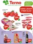 Katalóg TERNO v Prešov | Atraktívne špeciálne ponuky pre všetkých | 2025-11-20T00:00:00.000Z - 2025-11-26T00:00:00.000Z