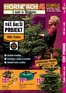 Katalóg HORNBACH | Váš ďalší projekt - Vôňa Vianoc | 2025-11-27T00:00:00.000Z - 2025-12-11T00:00:00.000Z