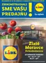 Katalóg Lidl v Spišská Stará Ves | Ponuka platná od 27. 12. 2025 | 2025-12-27T00:00:00.000Z - 2026-01-04T00:00:00.000Z